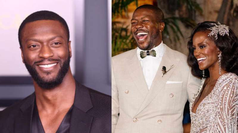 Aldis Hodge Wife